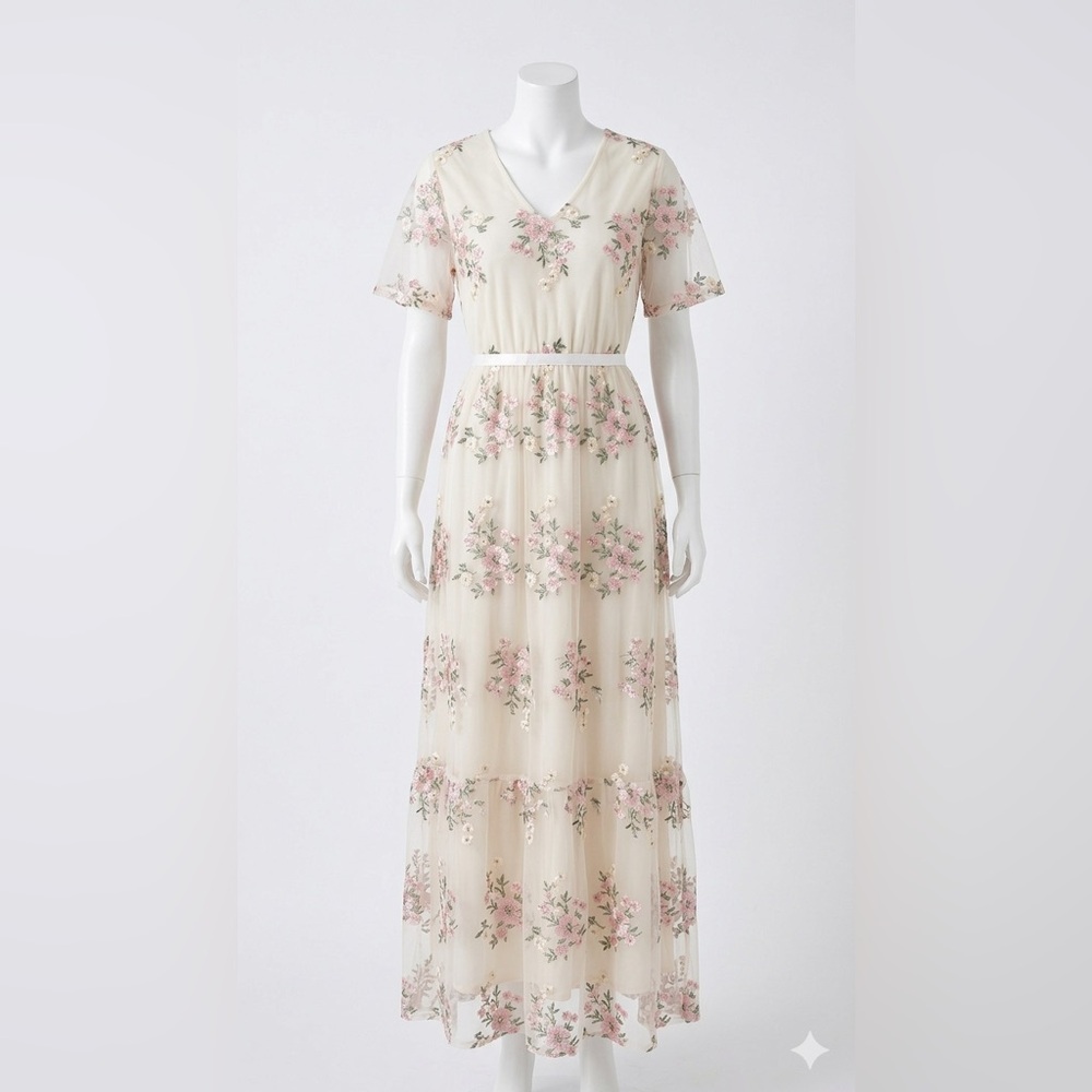 Cottagecore Floral Embroidered Maxi Dress Women’s Large Sheer Garden Party